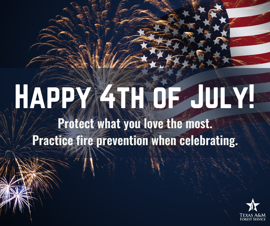 Summer Season Wildfire Prevention - Independence Day